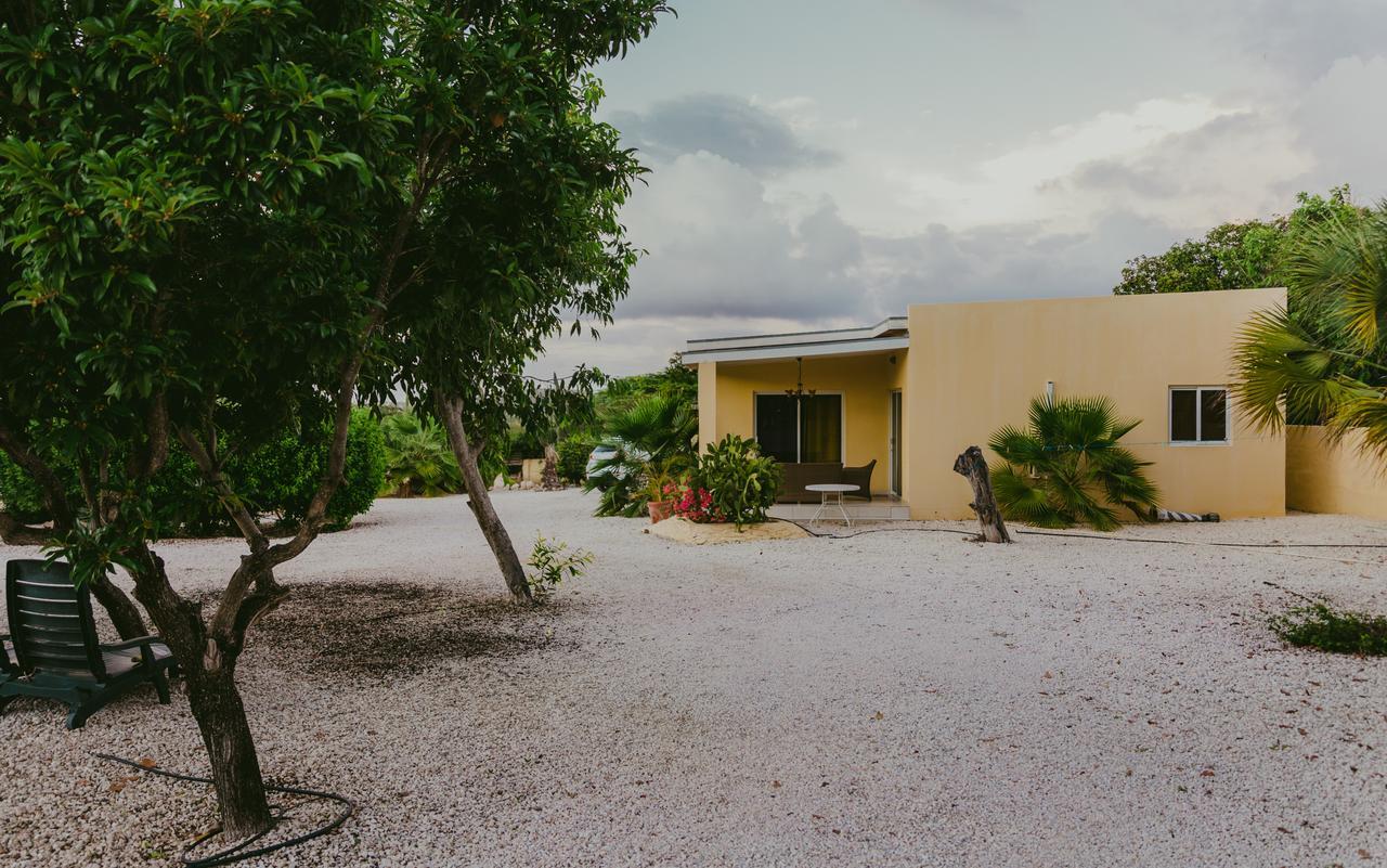 Hotel Hidden Garden Aruba Babijn Zimmer foto