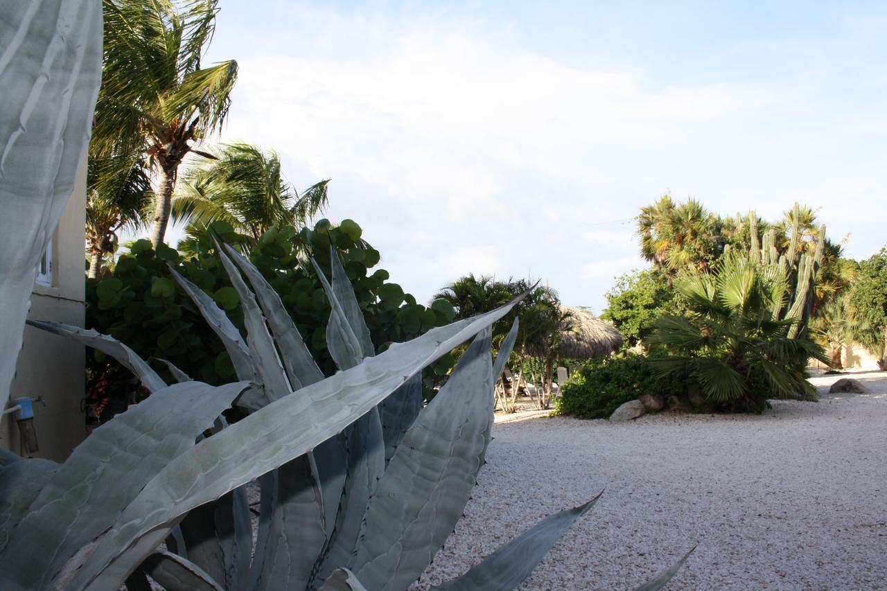 Hotel Hidden Garden Aruba Babijn Zimmer foto